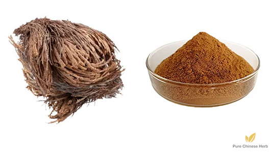 Herba Selaginellae Extract 20:1 | Tamariskoid Spikemoss Herb | Juan Bai-Pure Chinese Herb™