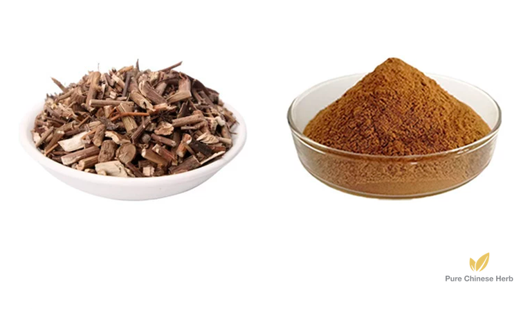Herba Senecionis Scandentis Extract 20:1 | Climbing Groundsel Herb | Ji Gu Cao-Pure Chinese Herb™