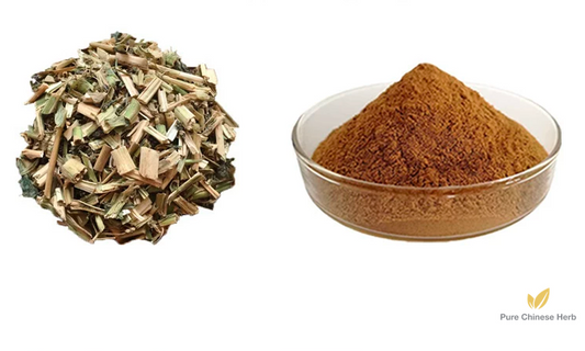 Herba Solani Nigri Extract 20:1 | Black Nightshade Herb Extract | Long Kui-Pure Chinese Herb™