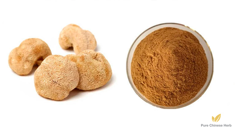 Hericium Erinaceus Extract 20:1 | Lion’s Mane Mushroom Extract | Hou Tou Gu-Pure Chinese Herb™