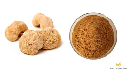 Hericium Erinaceus Extract 20:1 | Lion’s Mane Mushroom Extract | Hou Tou Gu-Pure Chinese Herb™