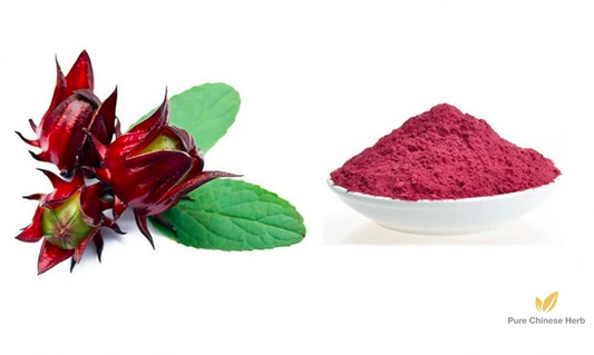 Hibiscus Sabdariffa Extract 20:1 | Roselle Extract | Luo Shen Hua-Pure Chinese Herb™