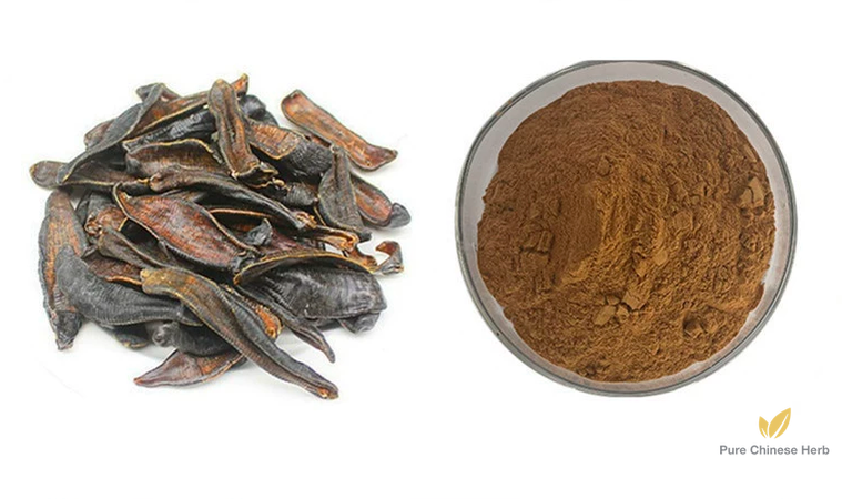 Hirudo Leech Extract 20:1 | Hirudinea | Shui Zhi-Pure Chinese Herb™