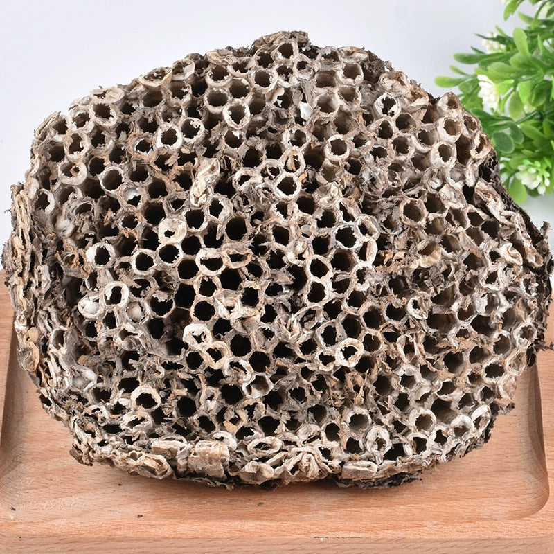 Honeycomb Powder Nidus Vespae Herb Powder Feng Fang Fen-Pure Chinese Herb™