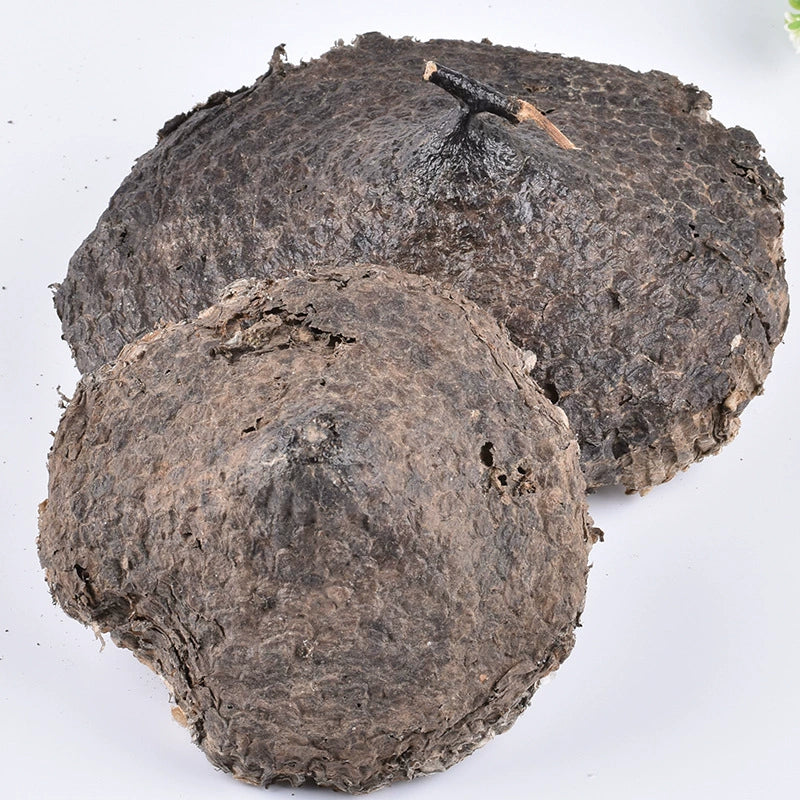Honeycomb Powder Nidus Vespae Herb Powder Feng Fang Fen-Pure Chinese Herb™