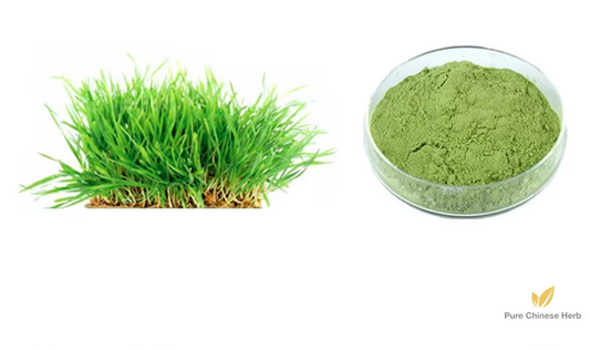Hordeum Vulgare Extract 20:1 | Barley Extract | Da Mai-Pure Chinese Herb™