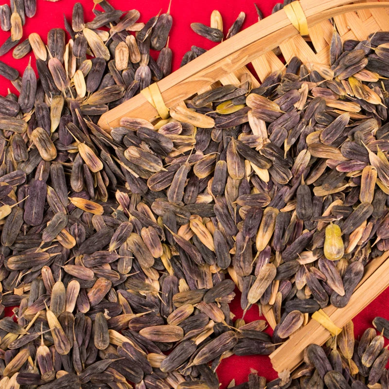 Isatis Tinctoria Seeds | Dyer’s Woad | Ban Lan Gen | 100pcs/bag-Pure Chinese Herb™