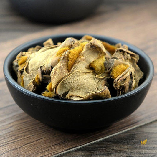Jin Mao Gou Ji East Asian Tree Fern Rhizome Rhizoma Cibotii-Pure Chinese Herb™
