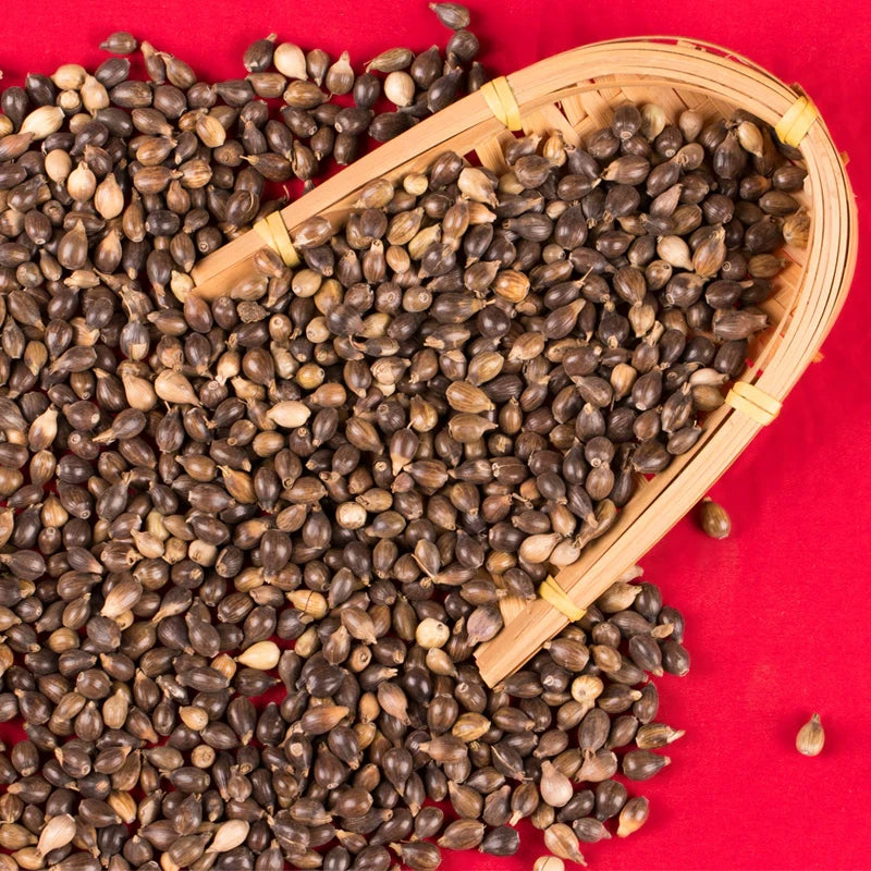 Job's Tears Seeds | Coix Chinensis | Yi Yi | 200pcs/bag-Pure Chinese Herb™