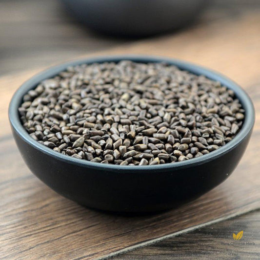 Jue Ming Zi Cassia Seed Sickle Senna Seed Semen Cassiae-Pure Chinese Herb™