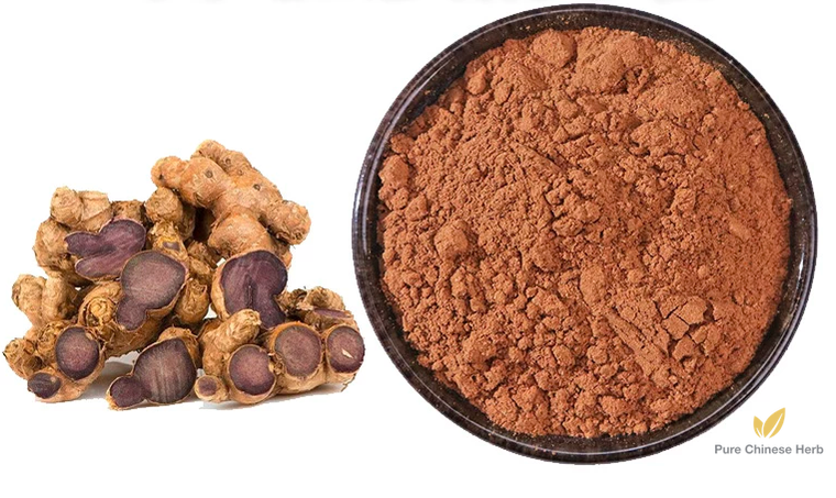 Kaempferia Parviflora Extract | Thai Black Ginger Extract | Xiao Hua Jiang-Pure Chinese Herb™