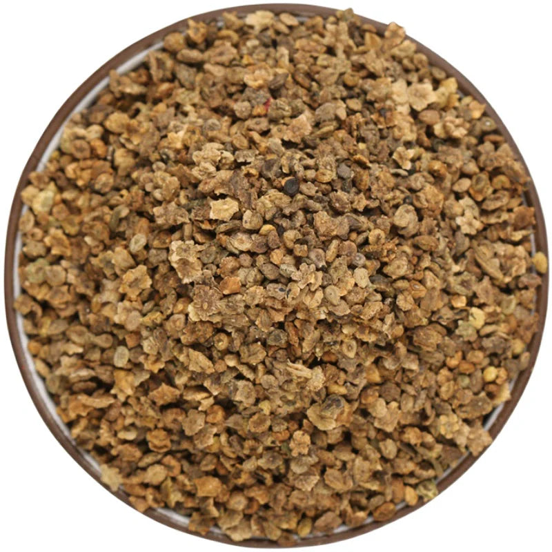 Kochia scoparia Seeds | Mock-Cypress | Burningbush | Di Fu Zi | 500pcs/bag-Pure Chinese Herb™