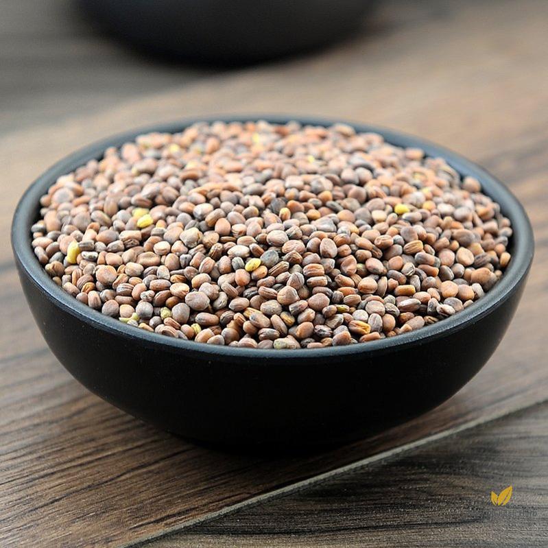 Lai Fu Zi Radish Seed Semen Raphani Raphanus Sativus L.-Pure Chinese Herb™