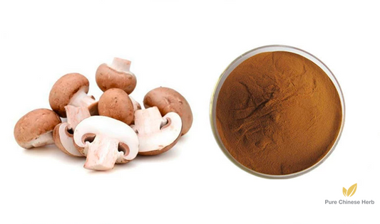 Lentinus Edodes Extract 20:1 | Shiitake Mushroom Extract | Xiang Gu-Pure Chinese Herb™