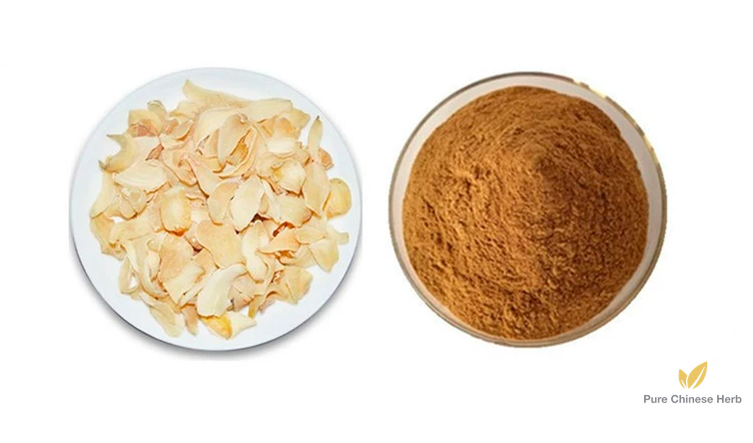 Lily Bulb Extract 20:1 | Bulbus Lilii | Bai He-Pure Chinese Herb™