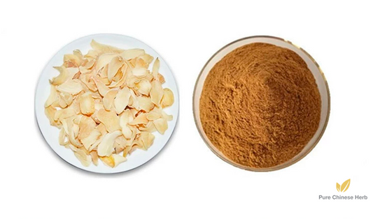 Lily Bulb Extract 20:1 | Bulbus Lilii | Bai He-Pure Chinese Herb™