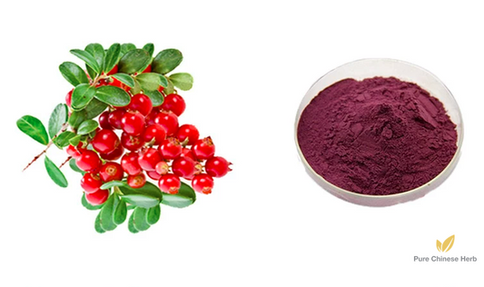 Lingonberry Extract 20:1 | Vaccinium Vitis-idaea | Yue Ju-Pure Chinese Herb™