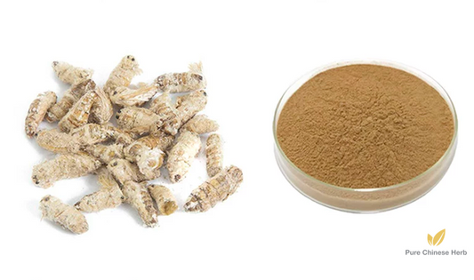 Male Silkworm Moth Extract 20:1 | Bombyx Mori Extract | Gong Can E-Pure Chinese Herb™