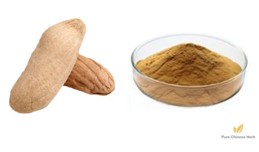Mangifera Indica Extract 20:1 | Mango Seed | Mang Gou He-Pure Chinese Herb™