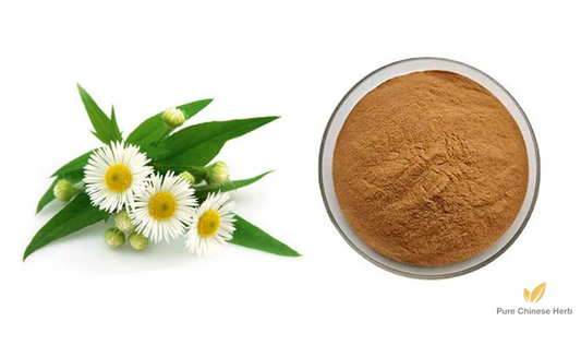 Matricaria Chamomilla Extract 20:1 | German Chamomile Extract | Yang Gan Ju-Pure Chinese Herb™
