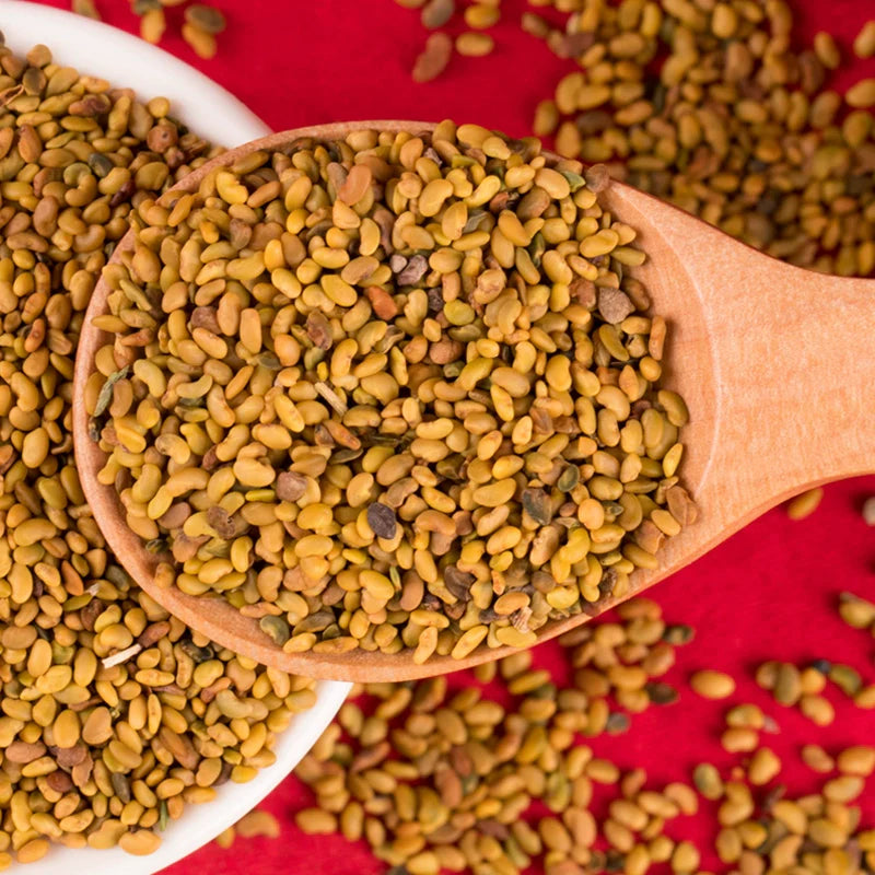 Medicago Sativa Seeds | Lucerne Alfalfa Seed | Zi Hua Mu Xu | 200pcs/bag-Pure Chinese Herb™