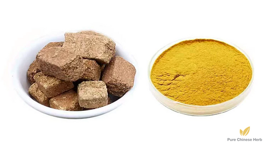 Medicated Leaven Extract 20:1 | Massa Medicata Fermentata | Fa Jiao Yao Bing-Pure Chinese Herb™