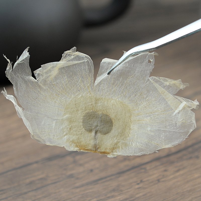 Mu Hu Die Semen Oroxyli Indian Trum Etflower Seed-Pure Chinese Herb™