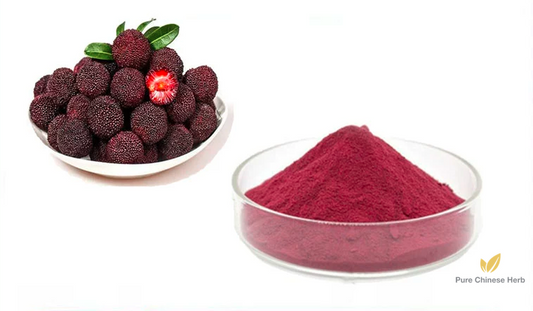 Myrica Rubra Extract 20:1 | Waxberry Extract | Yang Mei-Pure Chinese Herb™