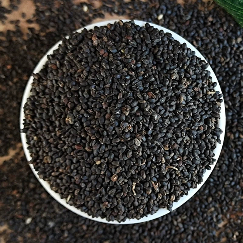 Nepeta Cataria Seeds | Catmint | Catnip | Catswort | Da Ye Jing Jie | 500pcs/bag-Pure Chinese Herb™