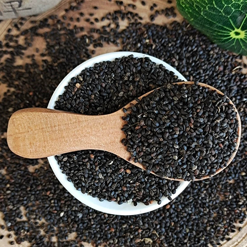 Nepeta Cataria Seeds | Catmint | Catnip | Catswort | Da Ye Jing Jie | 500pcs/bag-Pure Chinese Herb™
