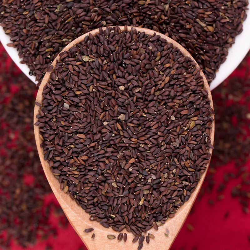 Nepeta Cataria Seeds | Catnip Catswort | Jing Jie | 200pcs/bag-Pure Chinese Herb™