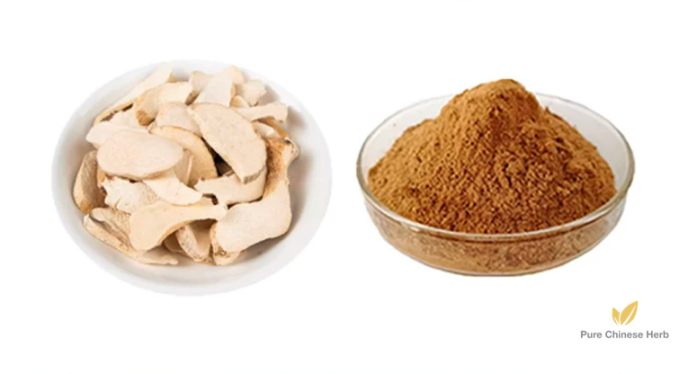 Ningpo Yam Rhizome Extract 20:1 | Rhizoma Dioscoreae Nipponicae Extract | Shu Liang-Pure Chinese Herb™