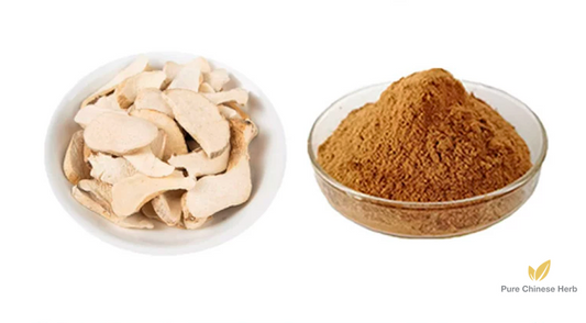 Ningpo Yam Rhizome Extract 20:1 | Rhizoma Dioscoreae Nipponicae Extract | Shu Liang-Pure Chinese Herb™