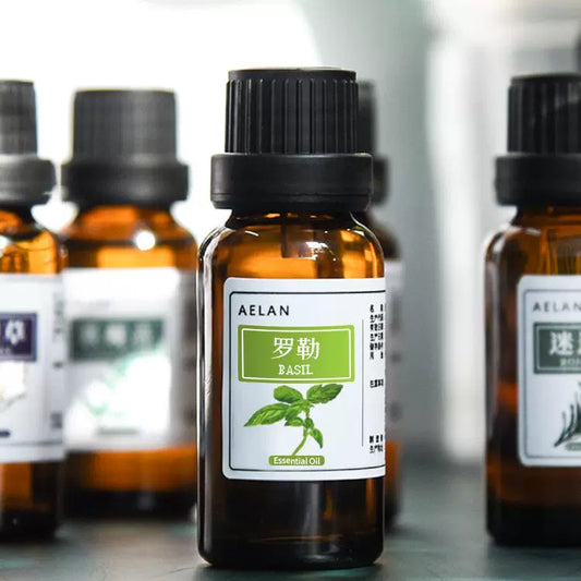 Ocimum Basilicum Essential Oil | Basil Essential Oil | Luo Le Jing You-Pure Chinese Herb™