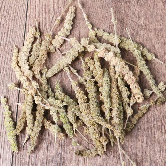 Organic Herba Fineleaf Schizonepeta | Herba Schizonepetae | Jīng Jiè-Pure Chinese Herb™