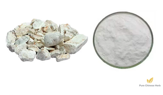 Ossa Draconis Extract 20:1 | Fossil Fragments | Long Gu-Pure Chinese Herb™