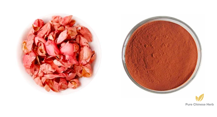 Peanut Coat Extract 20:1 | Arachis Hypogaea | Hua Sheng Yi-Pure Chinese Herb™