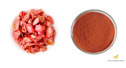 Peanut Coat Extract 20:1 | Arachis Hypogaea | Hua Sheng Yi-Pure Chinese Herb™