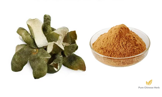 Pericarpium Citri Reticulatae Viride Extract 20:1 | Green Tangerine Peel | Lv Cheng Pi-Pure Chinese Herb™