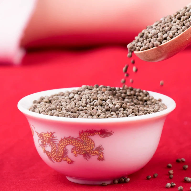 Perilla frutescens Seeds | Beefsteak Plant | Zi Su | 300pcs/bag-Pure Chinese Herb™