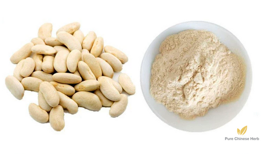 Phaseolus Vulgaris Extract Phaseollin 2% | Kidney Bean Extract | Cai Dou-Pure Chinese Herb™