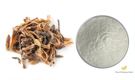 Pheretima Extract 20:1 | Earthworm Extract | Di Long-Pure Chinese Herb™
