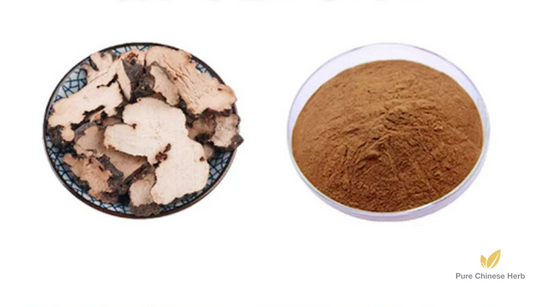 Polyporus Umbellatus Extract 20:1 | Grifola Extract | Zhu Ling-Pure Chinese Herb™