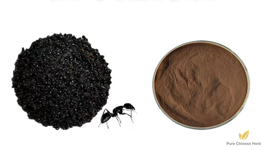 Polyrhachis Dives Extract 20:1 | Black Ant Extract | Hei Ma Yi-Pure Chinese Herb™