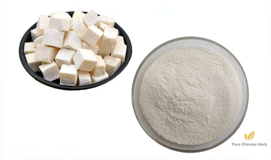 Poria Extract 20:1 | Indian Bread Extract | Fu Ling-Pure Chinese Herb™