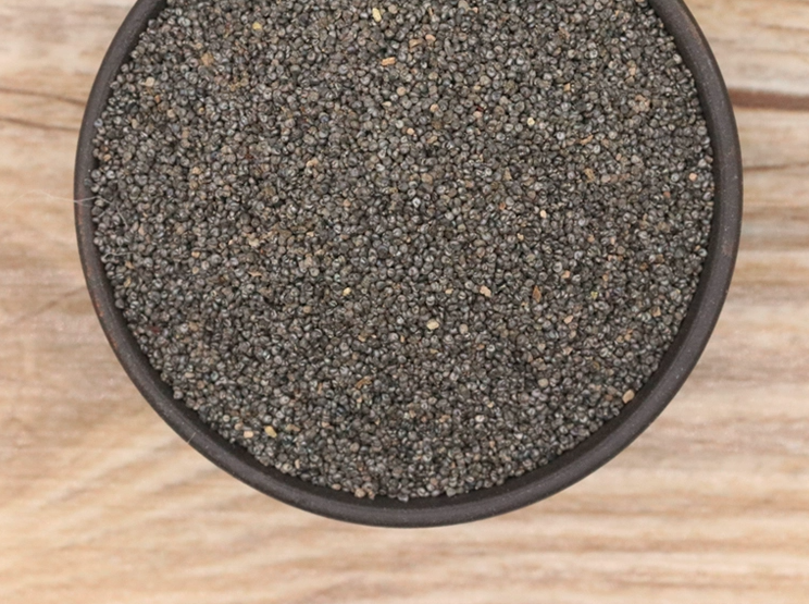 Portulaca Grandiflora Seeds | Moss Rose | Tai Yang Hua | Eleven O’Clock | 200pcs/bag-Pure Chinese Herb™