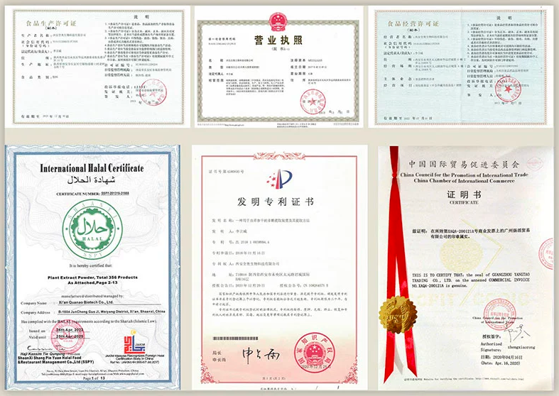 Psidium Guajava Extract 20:1 | Common Guava Extract | Fan Shi Liu-Pure Chinese Herb™