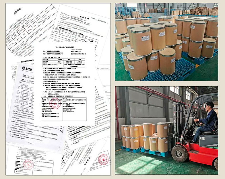 Psidium Guajava Extract 20:1 | Common Guava Extract | Fan Shi Liu-Pure Chinese Herb™