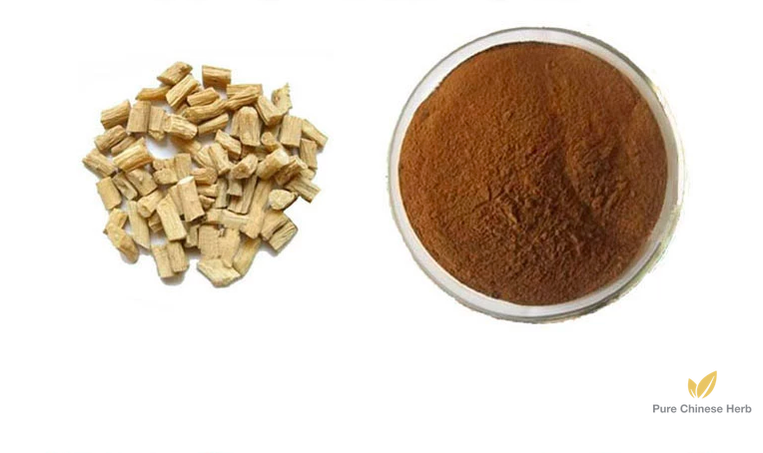 Radix Achyranthis Bidentatae Extract 20:1 | Twotooth Achyranthes Root Extract | Niu Xi-Pure Chinese Herb™