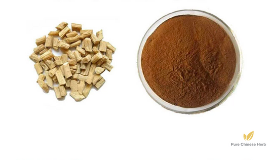Radix Achyranthis Bidentatae Extract 20:1 | Twotooth Achyranthes Root Extract | Niu Xi-Pure Chinese Herb™